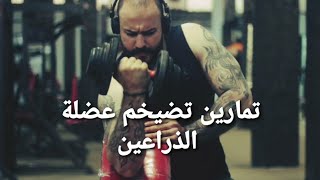 تمارين تضخيم عضلة الباي والتراي أقوى التمارين.Arm exercise