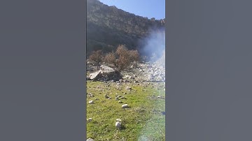 تلاوات نادرة للشيخ صالح بن فوزان الفوزان حفظه الله |🌹سورة الأعلى :