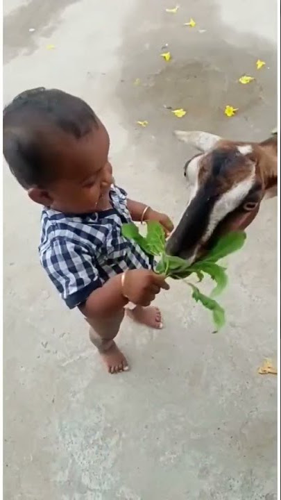 Nanbiye song #Nanbiye what's up status