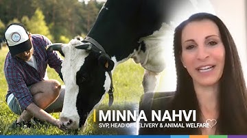 Case Study: ElectrifAi | Improving Animal Welfare in Agriculture