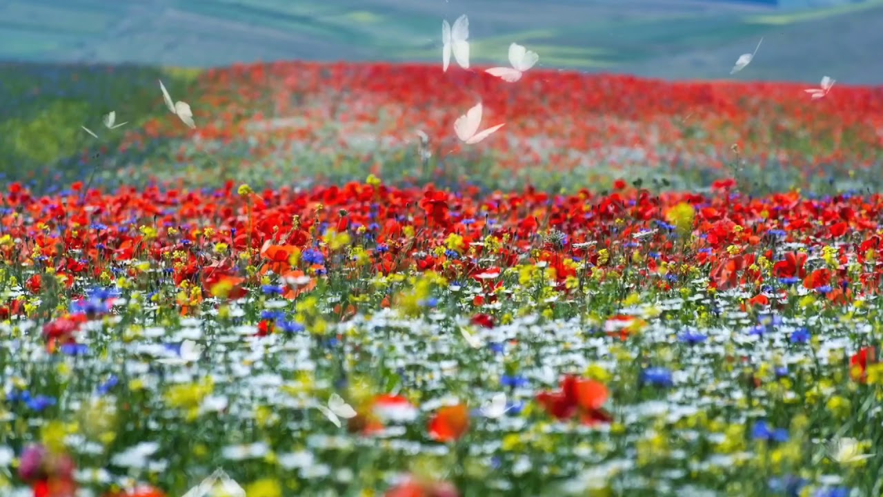 Когда это бывает? Е. Трутнева #развитиеречи - YouTube