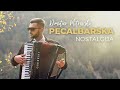 Dimitar mitrovski  pecalbarska nostalgija official 2020