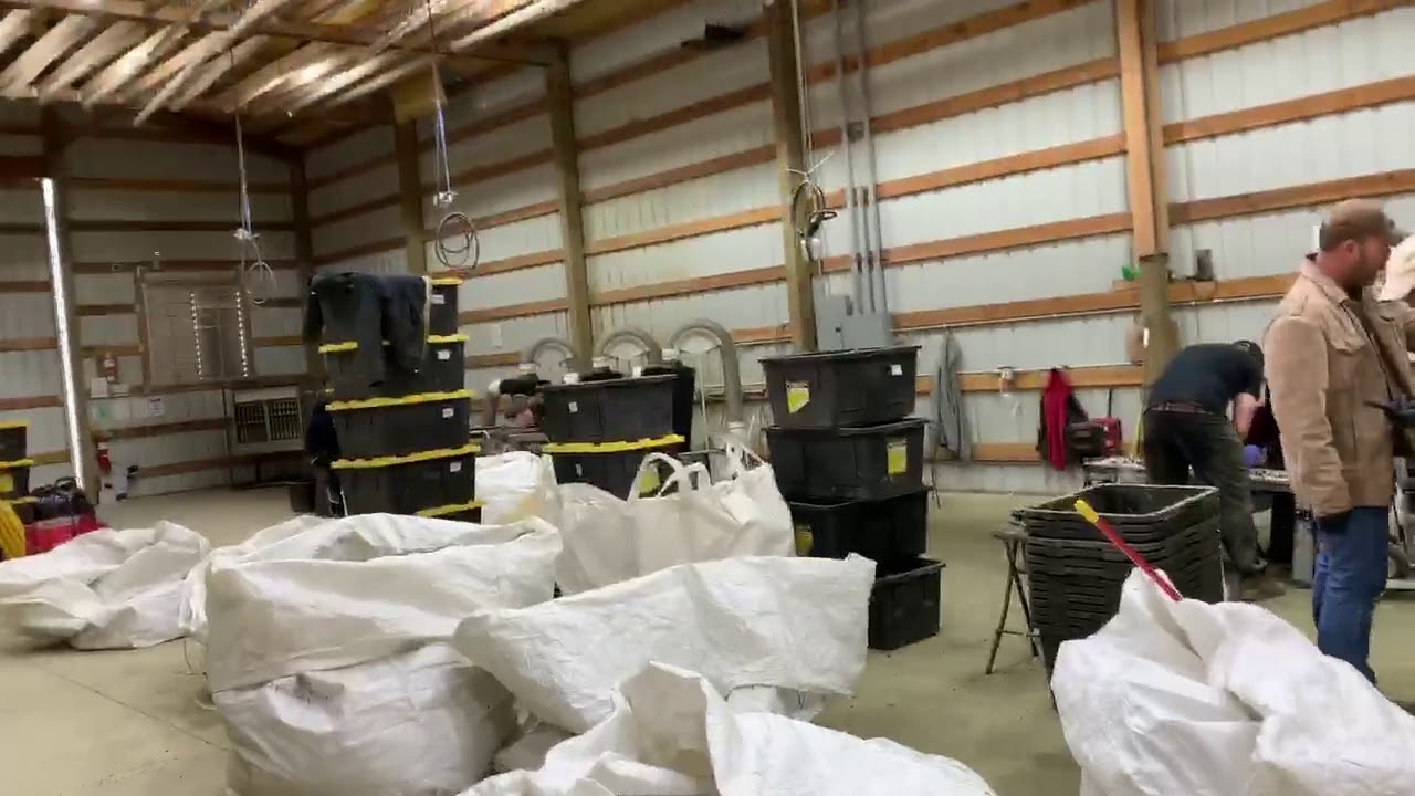 CBD HEMP INC. HIGH CBD’s🔥