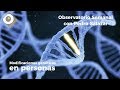 Modificaciones genéticas en personas. Observatorio Semanal con Pedro Salazar