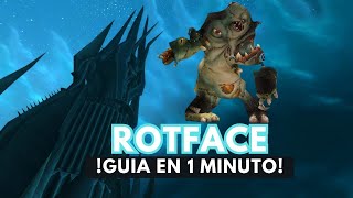 WOW WOTLK ICC | ROTFACE  10 - 25 NORMAL Y HEROIC  CLASSIC LICH KING