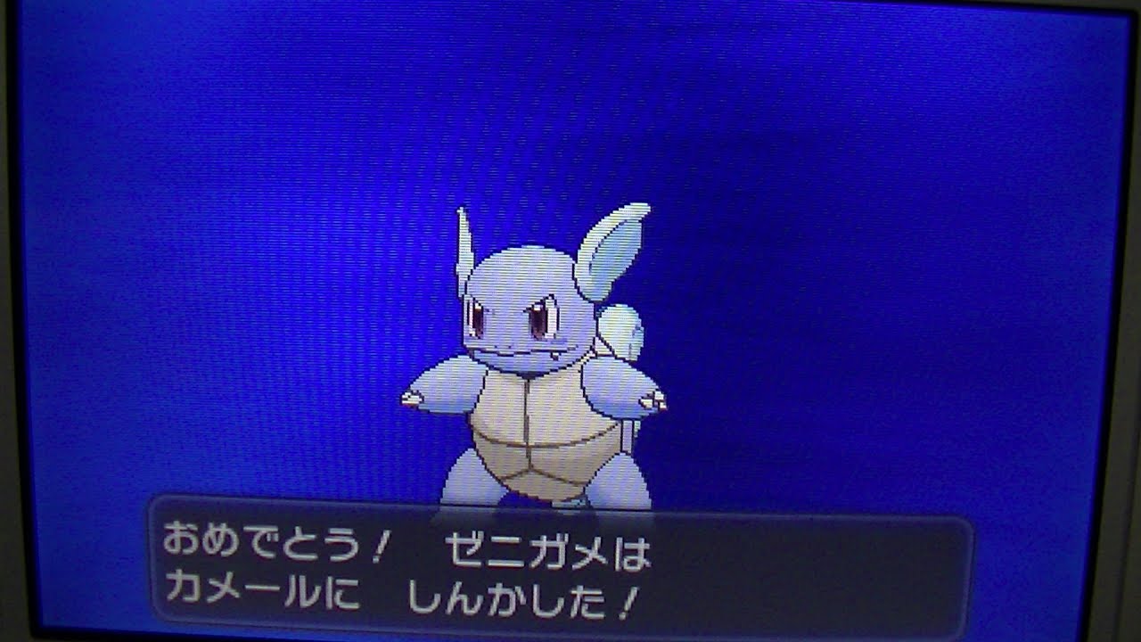 ポケモンメガリングの影響で久々3DSポケットモンスターXY『ゼニガメ⇒カメール進化ケロマツ⇒ゲコガシラ連続しんか』移り気多い8才コウキ実況【緒方千治チハル