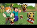 Minecraft Love Story: Alex and Steve Life - Minecraft Animation