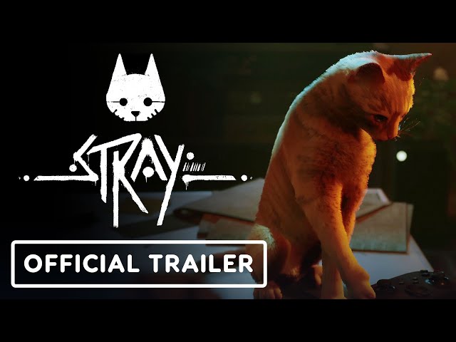 Stray traz sua aventura repleta de felinos ao Xbox em agosto