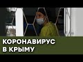 Коронавирус в Крыму: как инфекция расползается на полуострове — Гражданская оборона