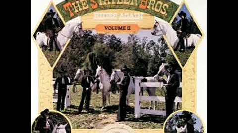 THE BEST OF THE STATLER BROTHERS RIDES AGAIN VOLUM...