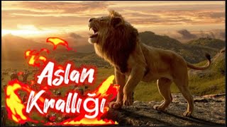 Aslan Krallığı Devlerin Avı ve Hayatı Türkçe Belgesel Sesli Anlatım