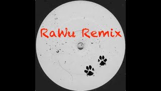 About That & EVALINA - Who Let the Dogs Out (RaWu Remix)