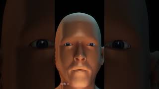 Eyesight Explained, Eye Anatomy (Animation)