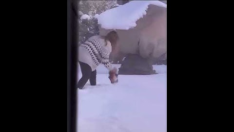 When you are trying to reproduce a tricky bug  #shorts  #shortvideo #shortsyoutube