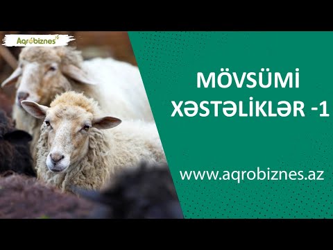 İnək, qoyun, keçi və quşların mövsümi xəstəlikləri - 1