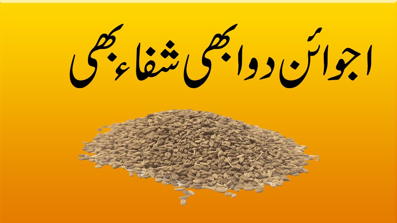 Ajwain Khane ke Benefits Ajwaine Ka Istmal Ajwain Ky Peeny ka Faida YouTube