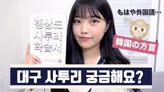 字幕on もはや外国語 韓国テグの方言 おすすめの本 대구 사투리 106 Youtube