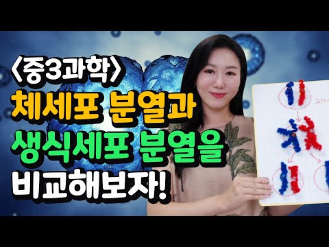 [아라쌤의 중3과학] 체세포 분열과 생식세포 분열을 비교해보자!