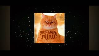 MONTAGEM MIAU #funk