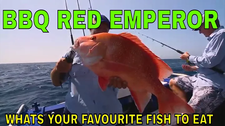 What's your favourite fish to BBQ |Red Emperor fil...