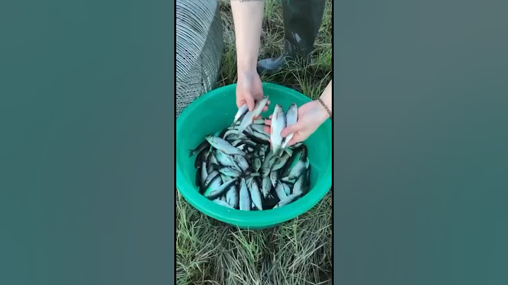 Традиционный способ ловли рыбы на вершу (туу) 😍🔥 #якутия #russia #рыбалка #охота