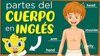 Partes del Cuerpo en Inglés | Inglés para Principiantes