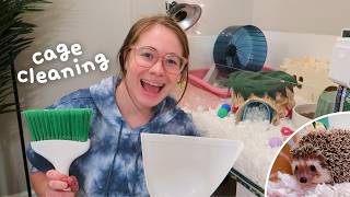 Hedgehog Cage Cleaning Routine 🦔💗🧼