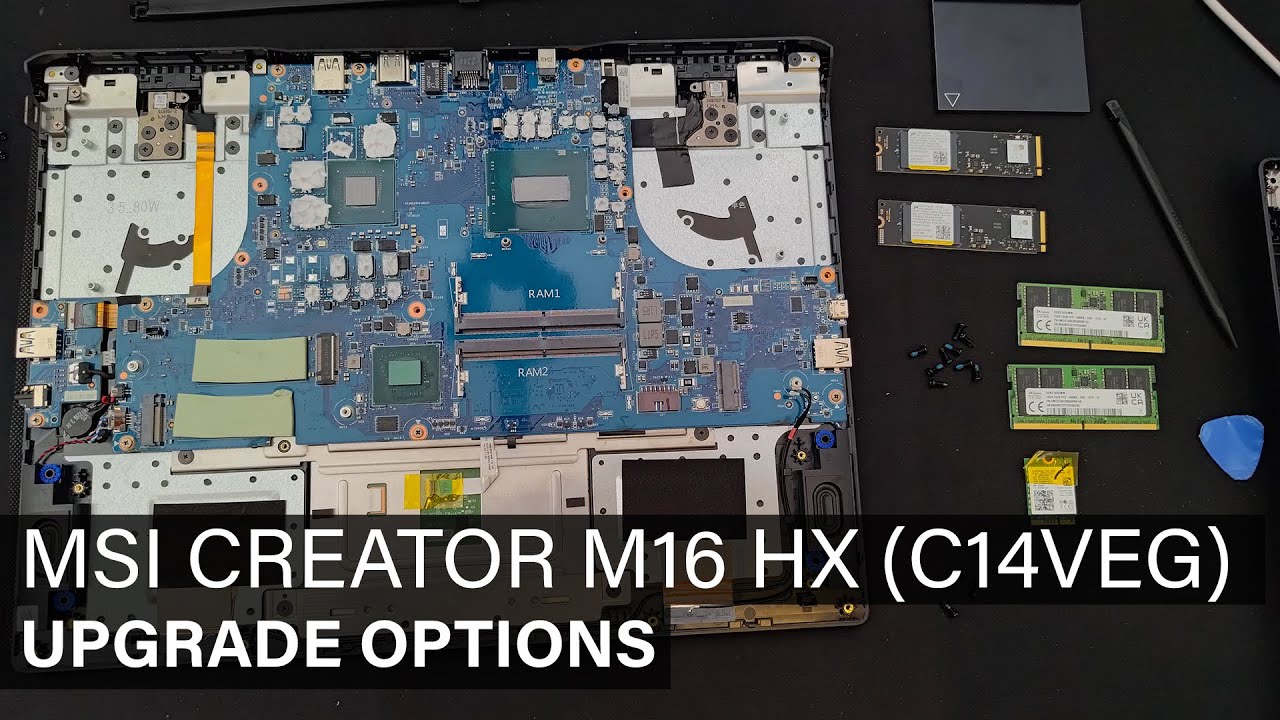 MSI Creator M16 HX C14VEG - DISASSEMBLY AND UPGRADE OPTIONS - YouTube