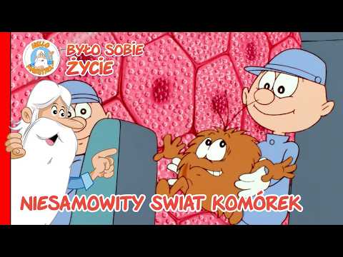 Niesamowity świat komórek | Pełne Odcinki | Było Sobie... Życie