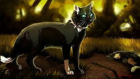 ◖Cats - Warriors ·· Scourge ~ Leave it all behind◗