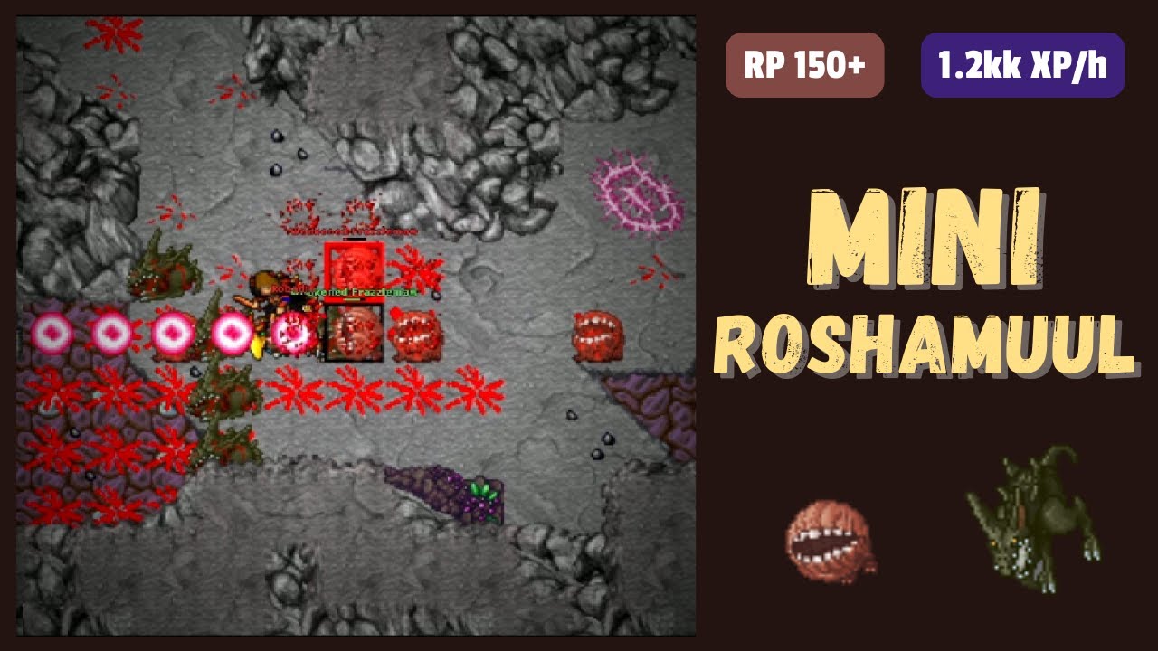 Mini roshamuul tibia hunt guide paladin youtube