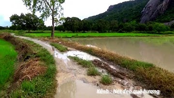 Rong chơi giữa rừng quên lãng và ruộng bậc thang Tà Pạ - Núi Tô, Tri Tôn, An Giang 24/09/2020