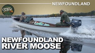 Hunting Moose while Battling the Elements in Newfoundland | Canada in the Rough