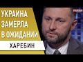 Зеленский почав реальну боротьбу з корупціей: Харебін - Баканов, Нефедов,  митниця, газовий контракт