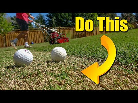 فيديو: هل يجب قطع عشب برمودا منخفضًا؟