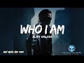WHO I AM - ALAN WALKER STYLE (official vizualizer)