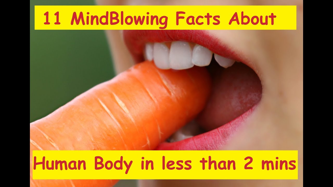 | WEIRDO | 11 Mind Blowing Facts Of Human Body You Never Knew | - YouTube
