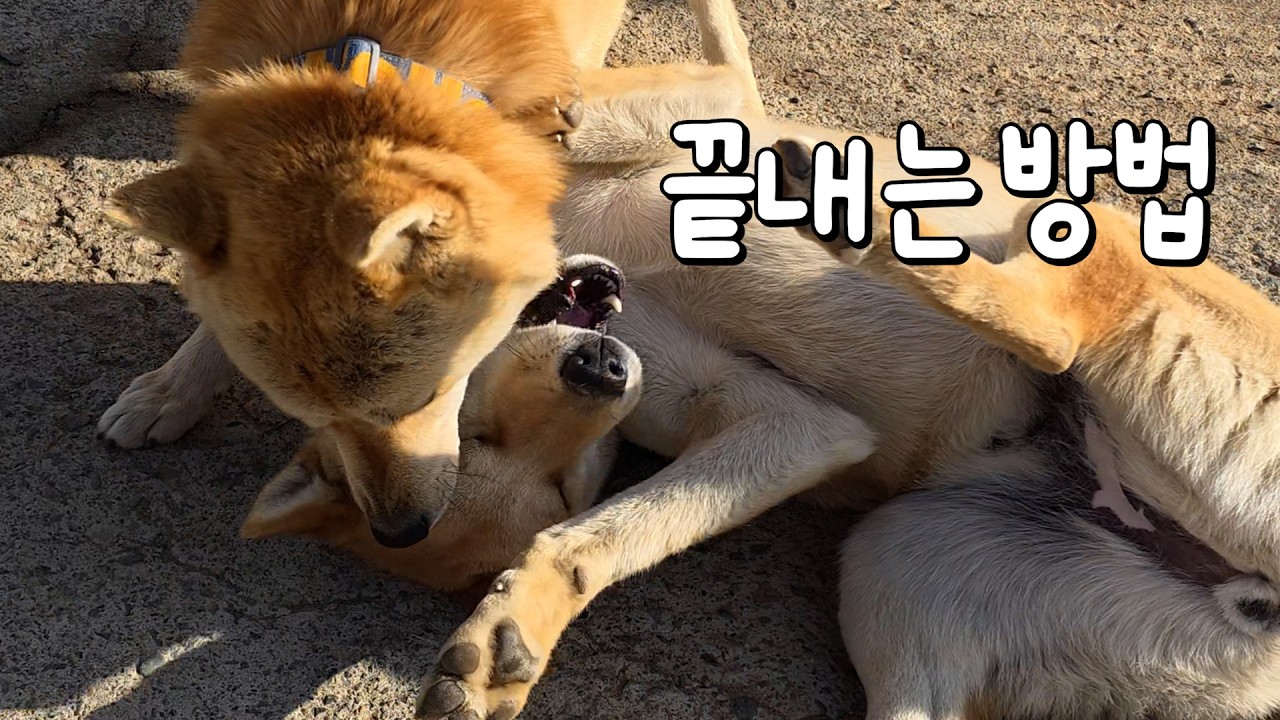 시간이 필요합니다