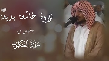 هيثم الدخين || تلاوة خاشعة بديعة 🤍 ﴿مثل الذين اتخذوا من دون الله أولياء كمثل العنكبوت..﴾