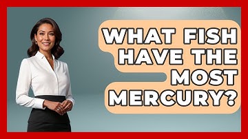 What Fish Have The Most Mercury? - Chasing Big Fish