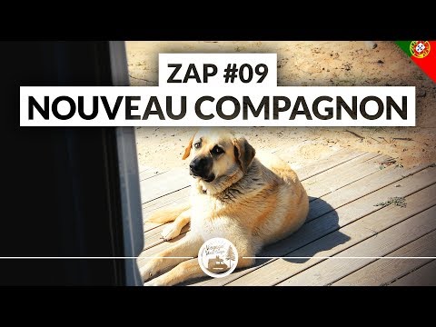 [VANZAP #09] CASCAIS, SAUVETAGE ET SINTRA - VANLIFE