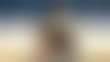 SNIPER HONOR 3D - CHAPTER 2: ESCAPE - FULL GAMEPLAY - ALL LEVELS