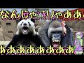 【7DTD】あかねとマキと、時々パ○ツ!Part11