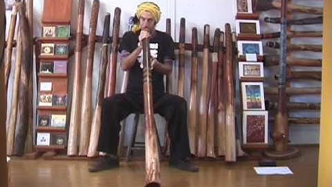 Jesse Lethbridge Didgeridoo Demo #171