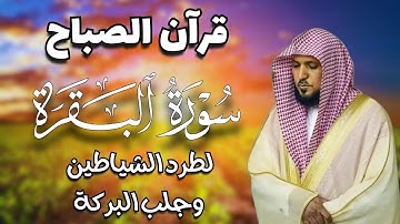 قرآن الصباح | سورة البقرة لحفظ وتحصين المنزل | بصوت الشيخ ماهر المعيقلي - جودة عالية