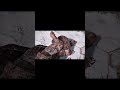 God Of War | Unstoppable Power | God of War Legendary Fight #godofwar #openworldgaming #gaming