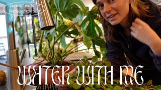 water my houseplants with me products I'm using, rearranging cabinet, + air plant troubles