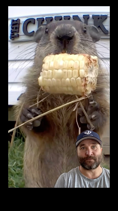 How Chunk Changed Gardener Jeff