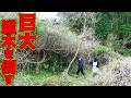 【山復興第2弾#98】筍掘りの師匠に認められた男！？
