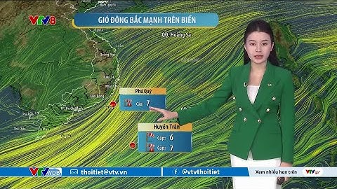 Dự báo thời tiết biển ngày 15/12/2025 | Gió đông bắc hoạt động mạnh | VTVWDB
